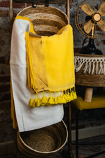 Load image into Gallery viewer, Half and Half Mul cotton saree