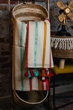 Load image into Gallery viewer, Multi striped handloom cotton
